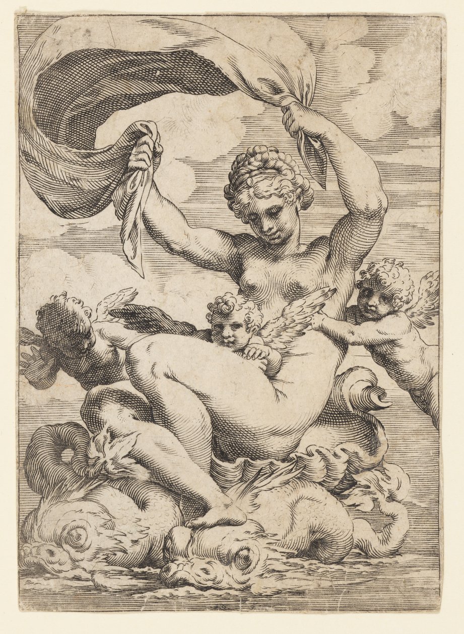 Vênus (ou Galatea) e Cupidos apoiados por golfinhos de Agostino Carracci
