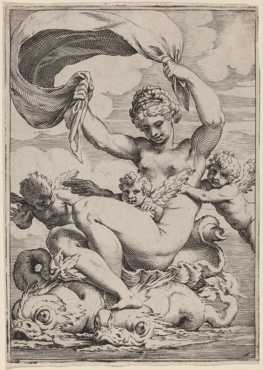 Vênus ou Galatea apoiado por golfinhos de Agostino Carracci