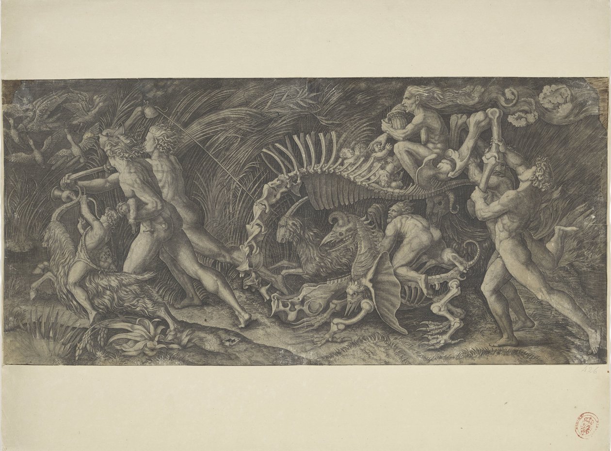 Het karkas O stregozzo de Agostino Veneziano