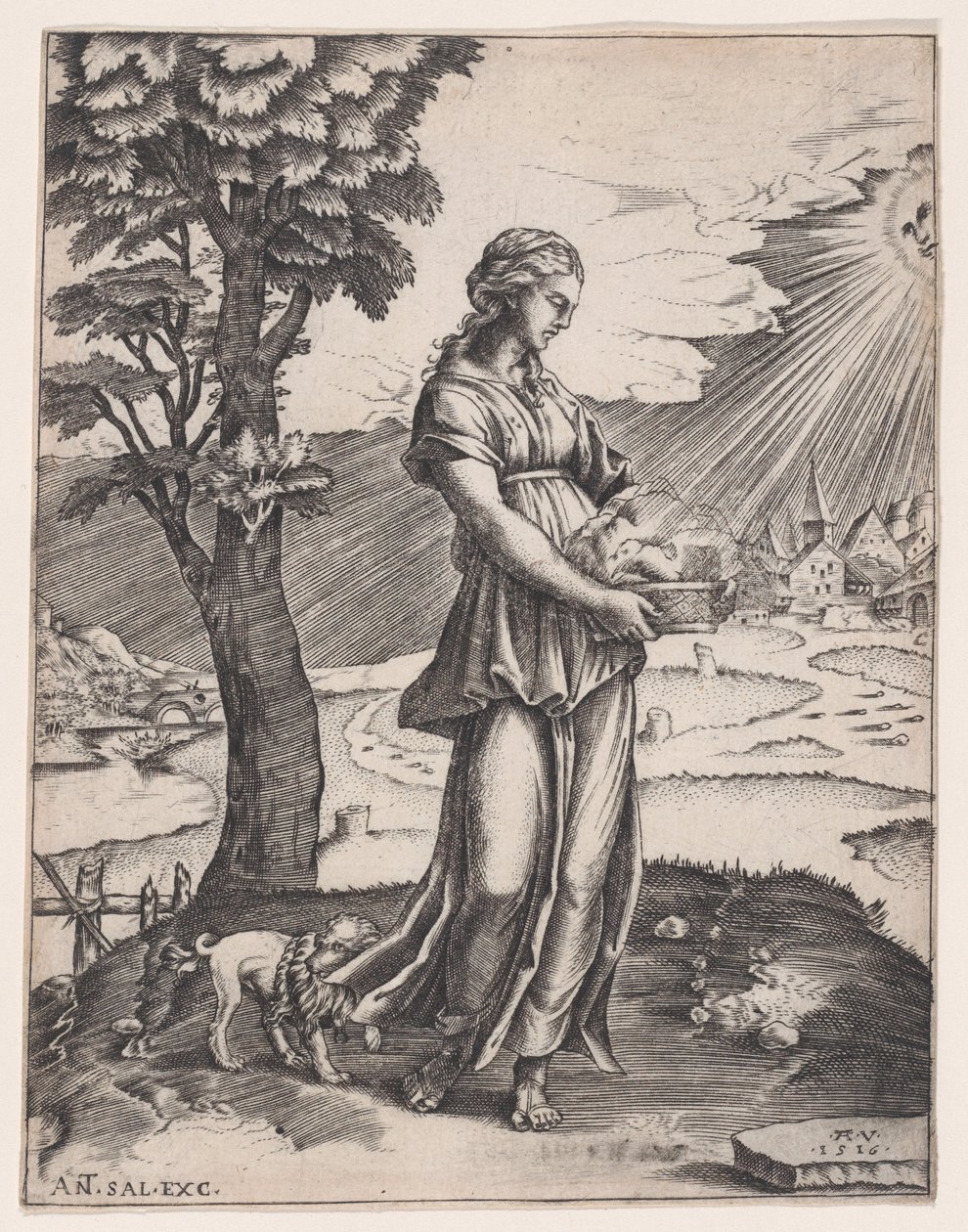 A Sibila de Cumas, datada de 1516. de Agostino Veneziano