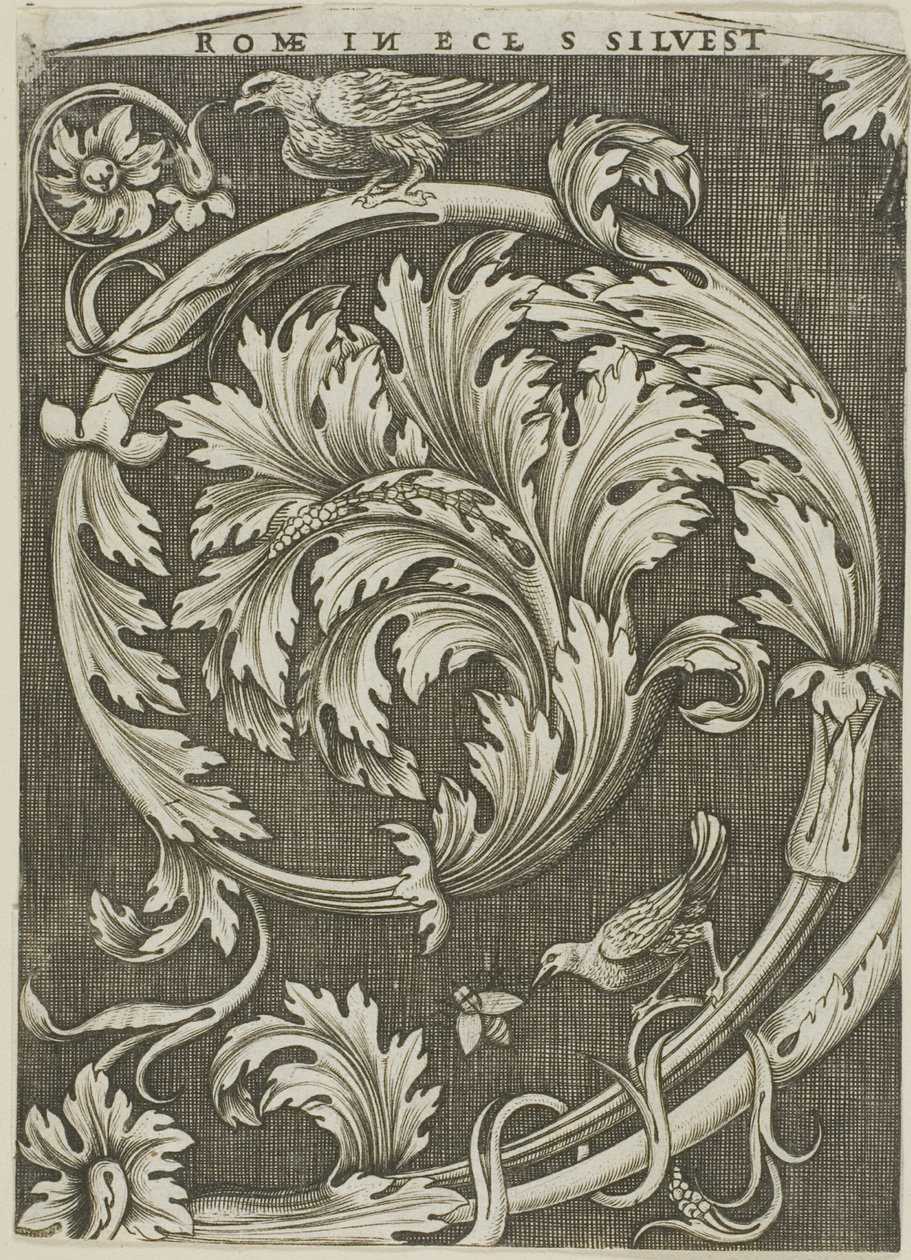 Ornamento de folhagem da antiga igreja romana de Agostino dei Musi