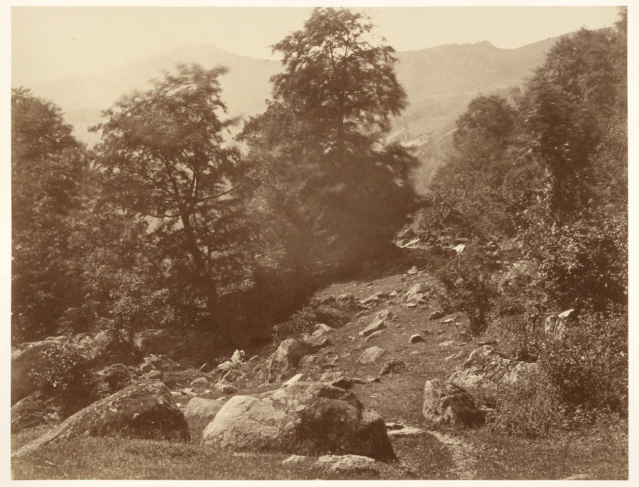 La Vallée du Lys (Coup de Vent) de Aimé Civiale