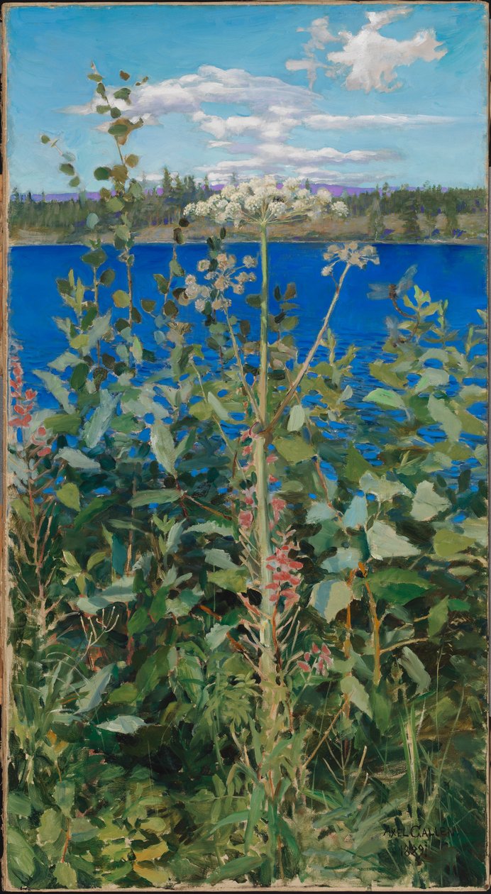 Angélica-silvestre de Akseli Gallen-Kallela