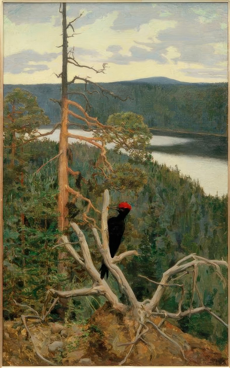 O grande pica-pau preto de Akseli Valdemar Gallen Kallela