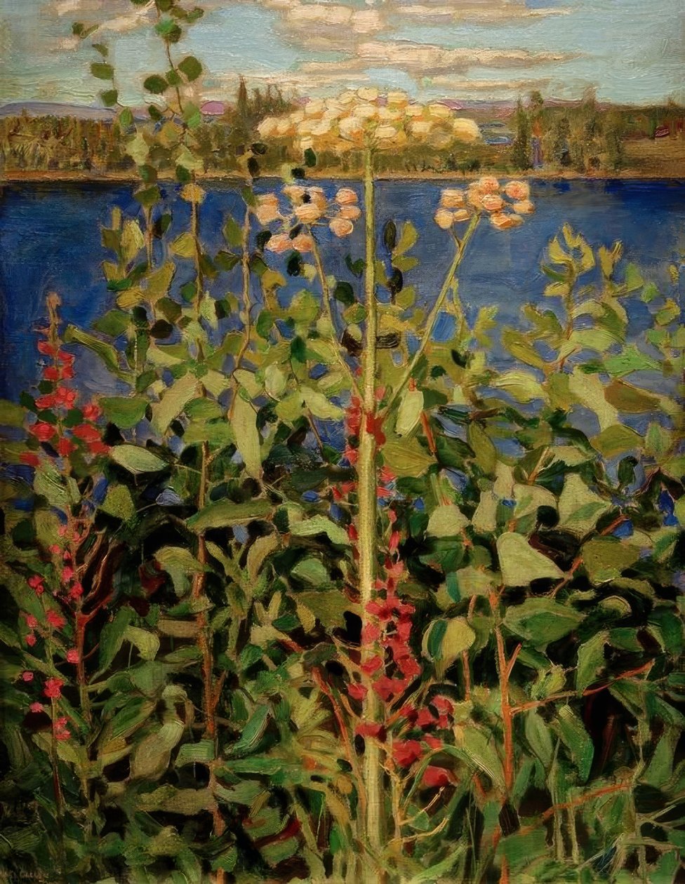 Angélica selvagem de Akseli Valdemar Gallen Kallela