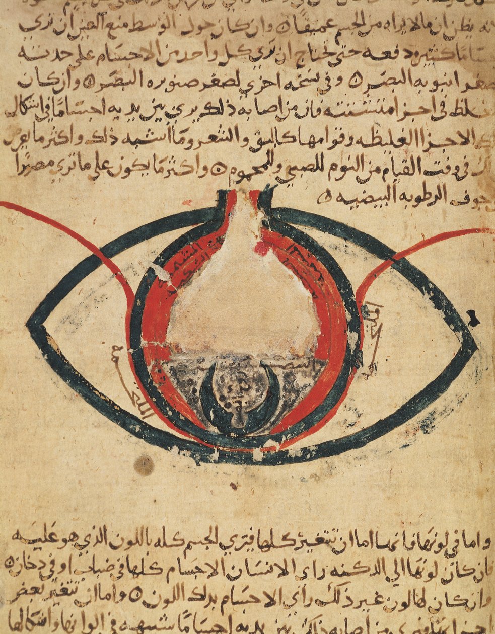 Anatomia do Olho, de um livro sobre doenças oculares de Al Mutadibi