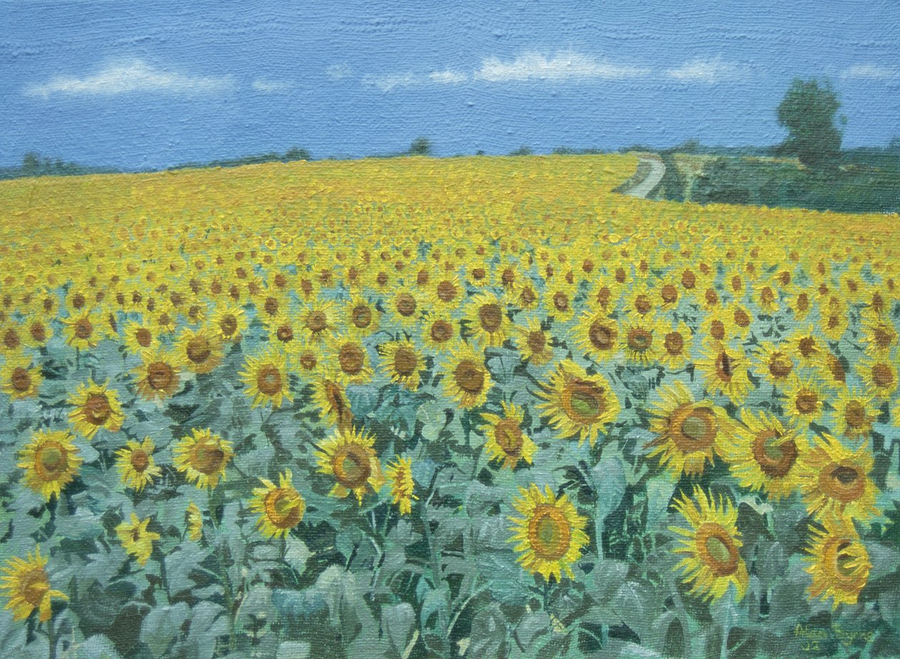 Campo de girassóis, 2002 de Alan Byrne