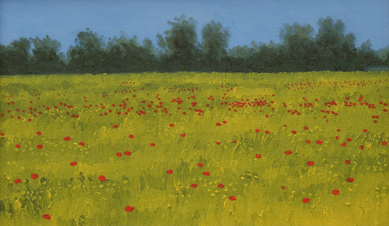 Campo Amarelo com Papoilas, 2002 de Alan Byrne