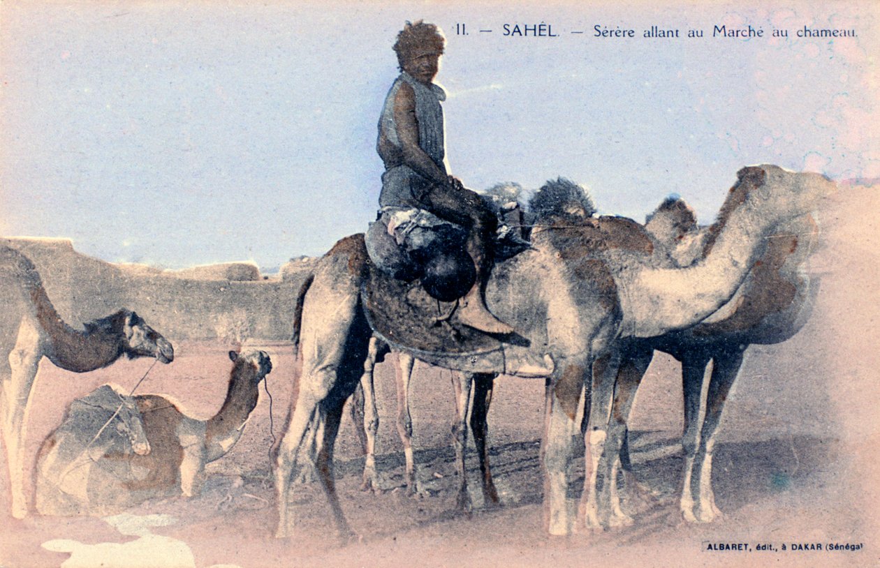 Serere, Sahel, Senegal, século XX de Albaret