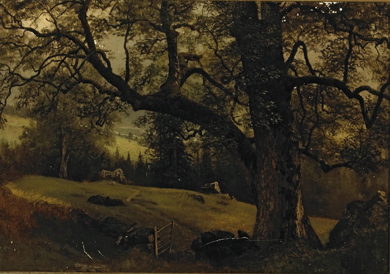 Uma trilha através das árvores de Albert Bierstadt