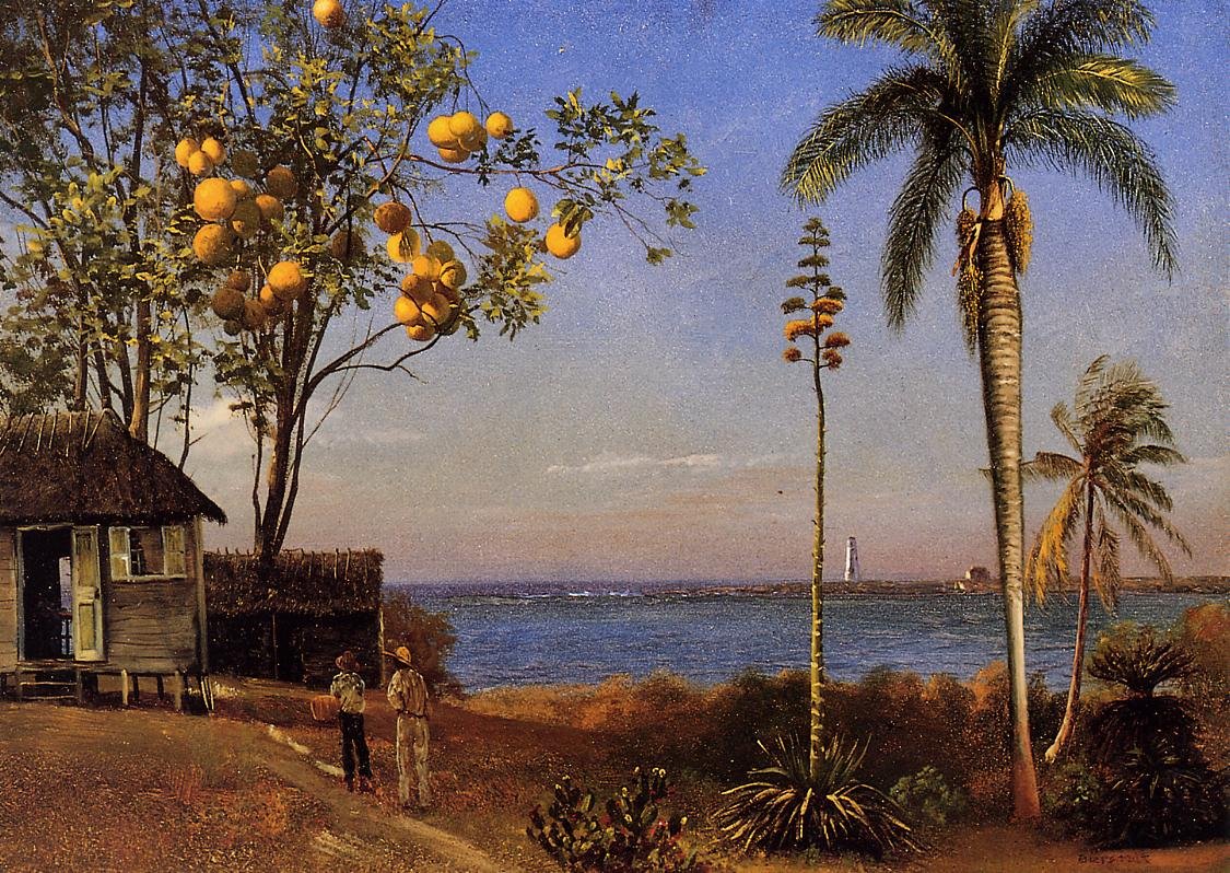 Uma vista nas Bahamas de Albert Bierstadt