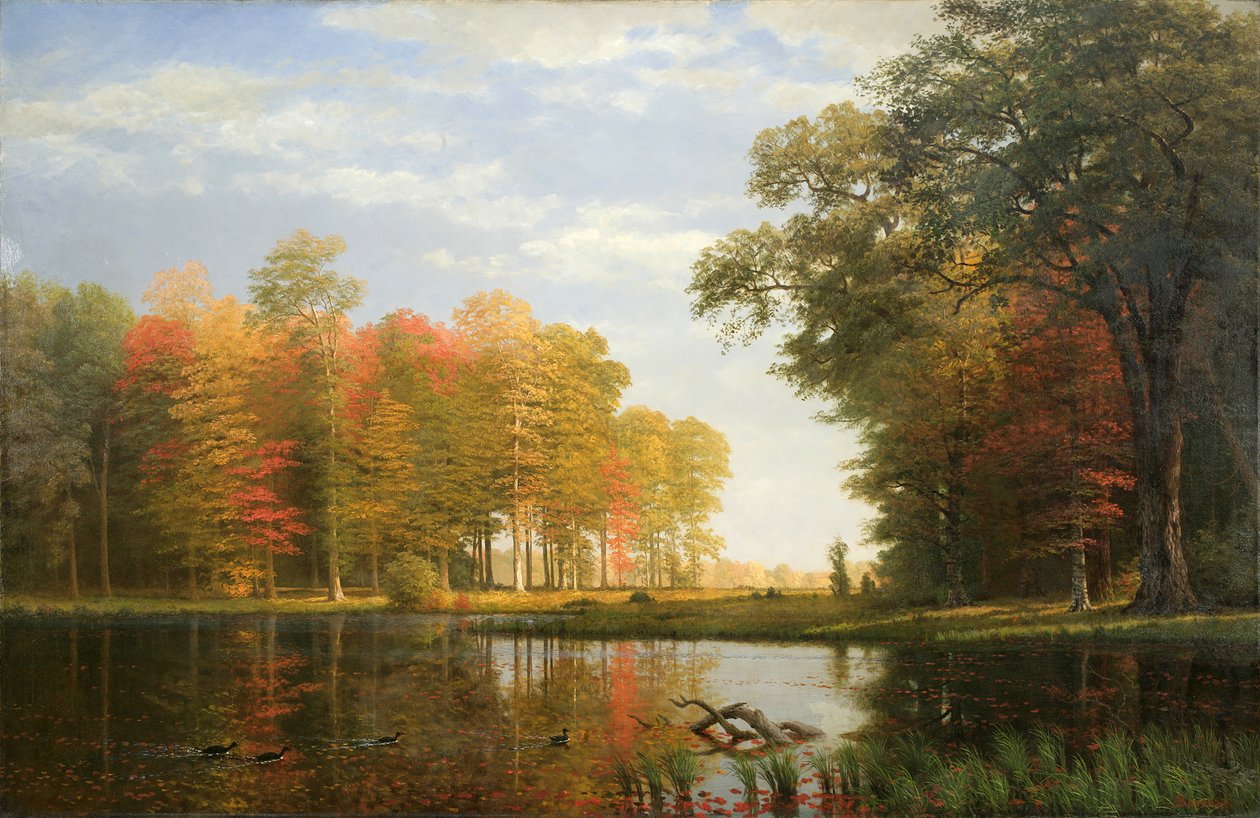 Autumn Woods, 1886 (óleo sobre linho) de Albert Bierstadt