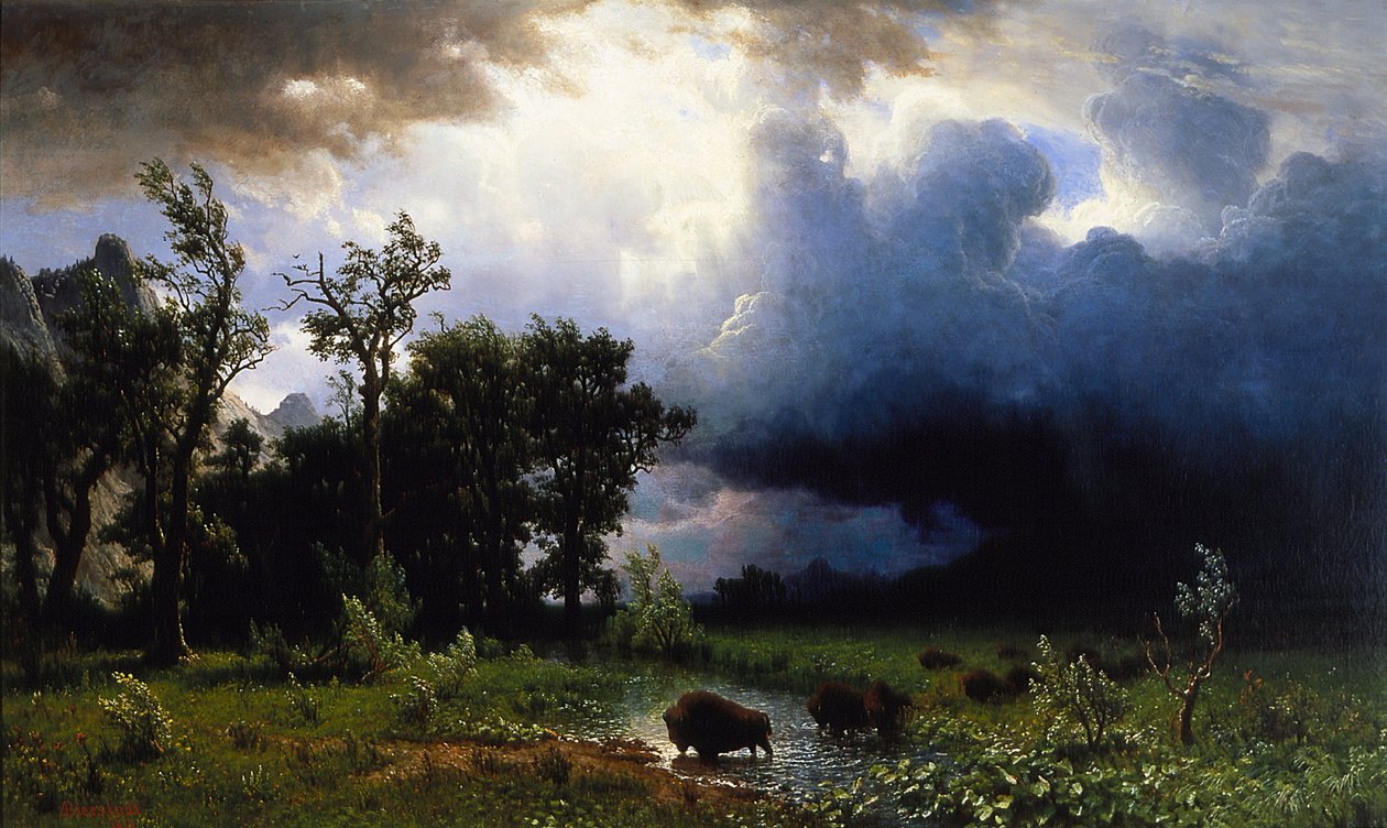 Trilha do búfalo, a tempestade iminente de Albert Bierstadt