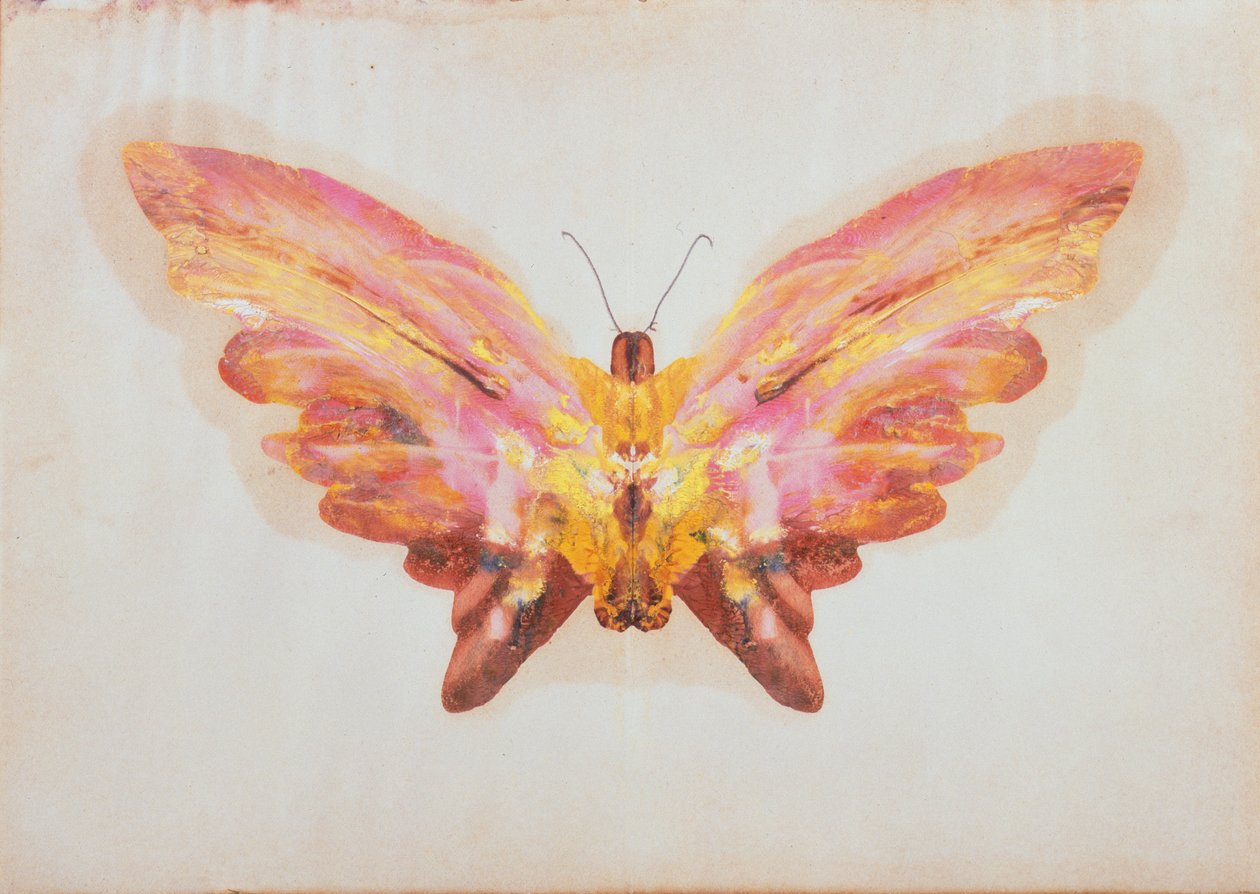 Borboleta (óleo e lápis sobre papel) de Albert Bierstadt