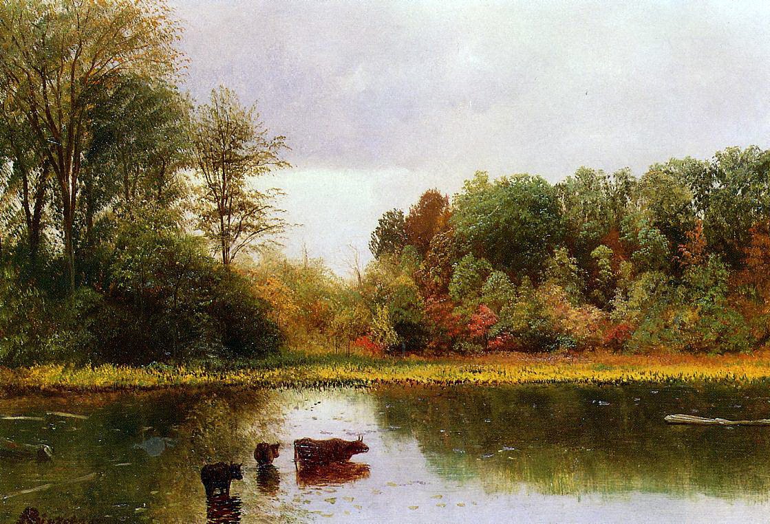 Vacas molhar em uma paisagem de Albert Bierstadt