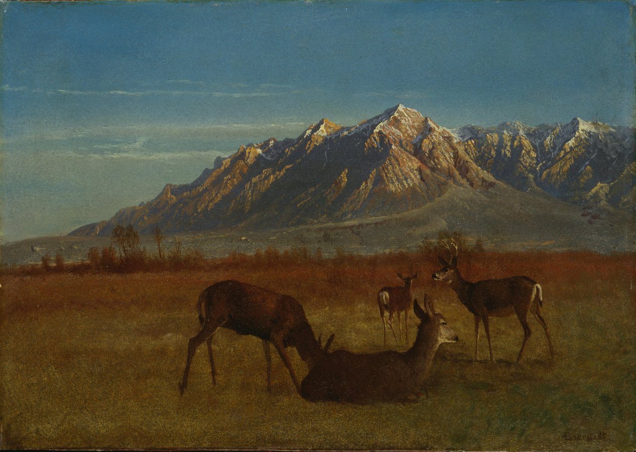Veado em Mountain Home de Albert Bierstadt