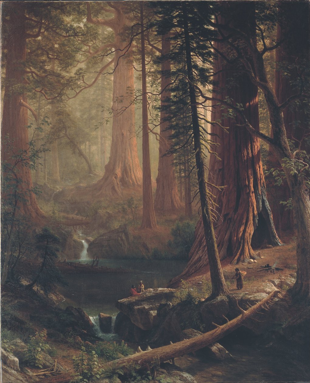 Redwood gigante árvores da Califórnia de Albert Bierstadt
