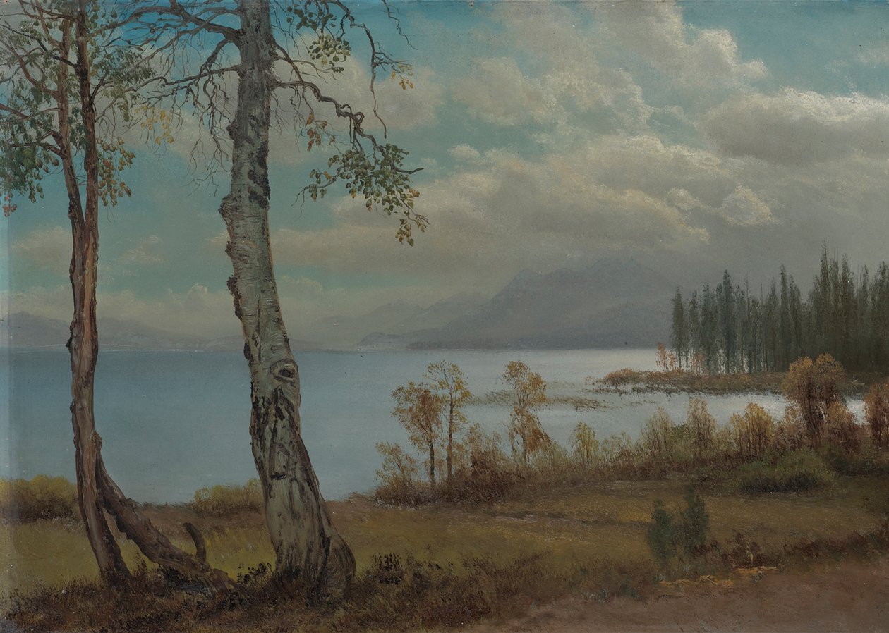 Lake Tahoe de Albert Bierstadt