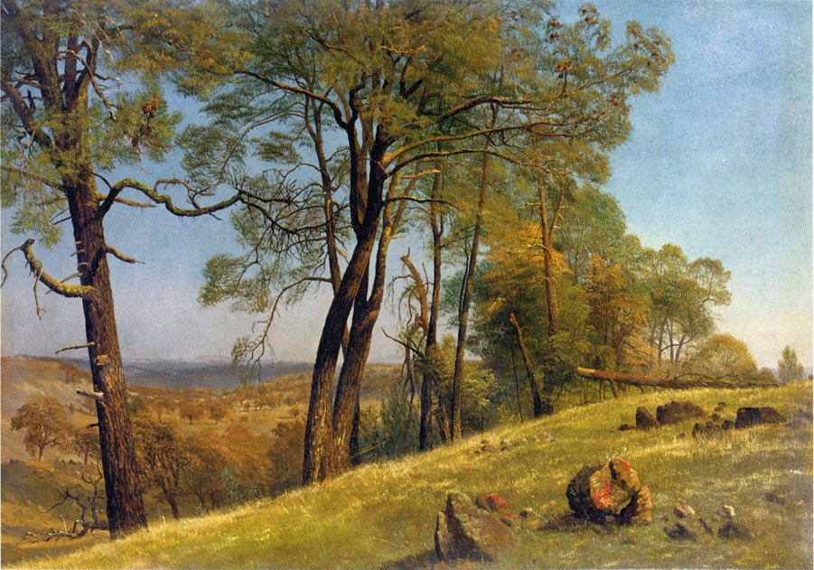 Paisagem, rockland, município, califórnia de Albert Bierstadt