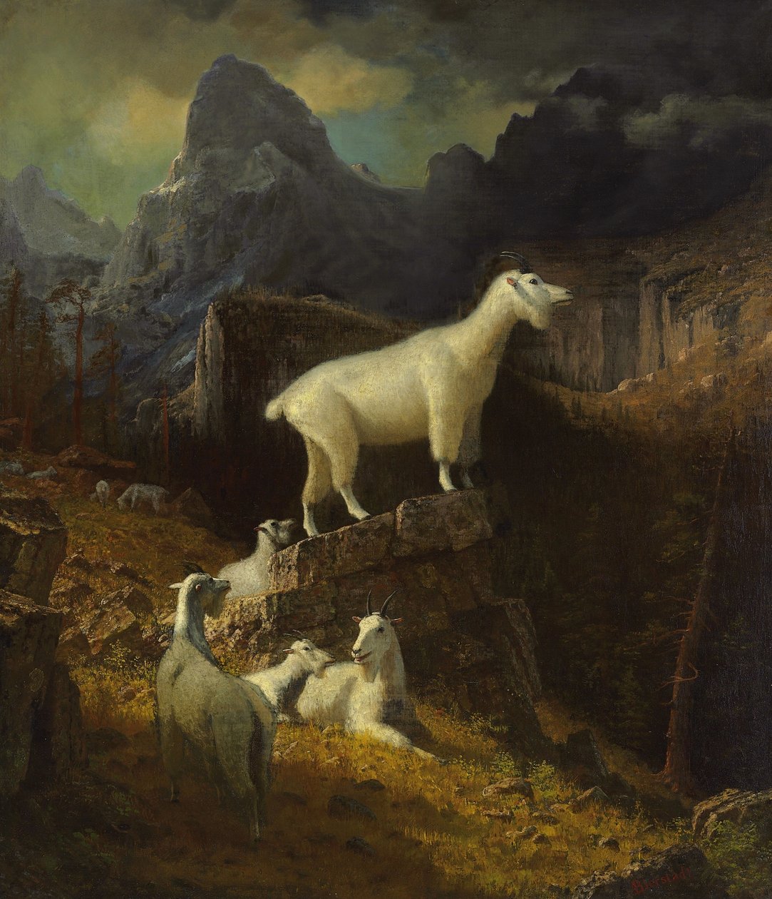 Cabras da montanha rochosa de Albert Bierstadt