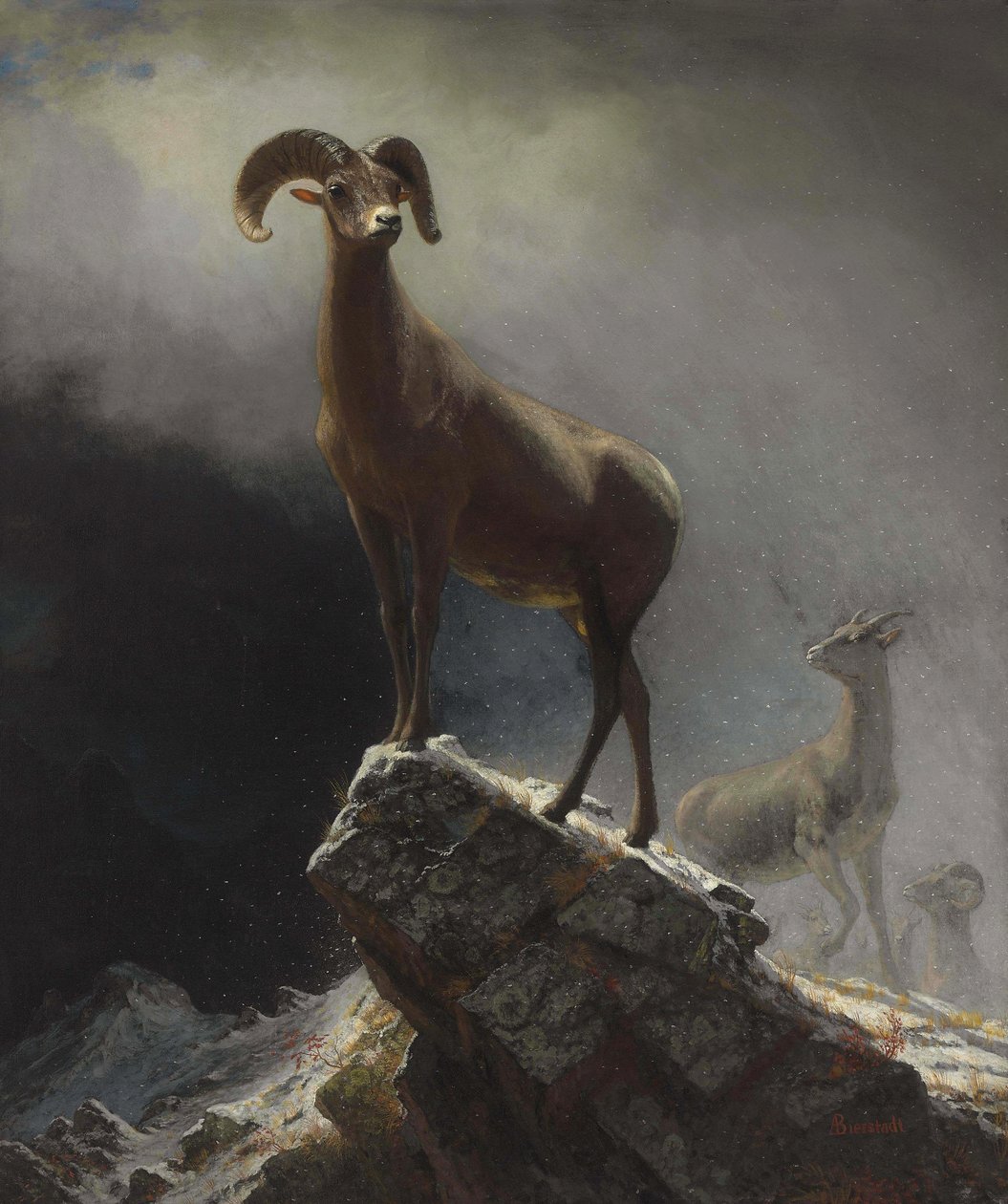 Ovelha montanha rochosa, ou, grande, chifre, ovis, montana de Albert Bierstadt