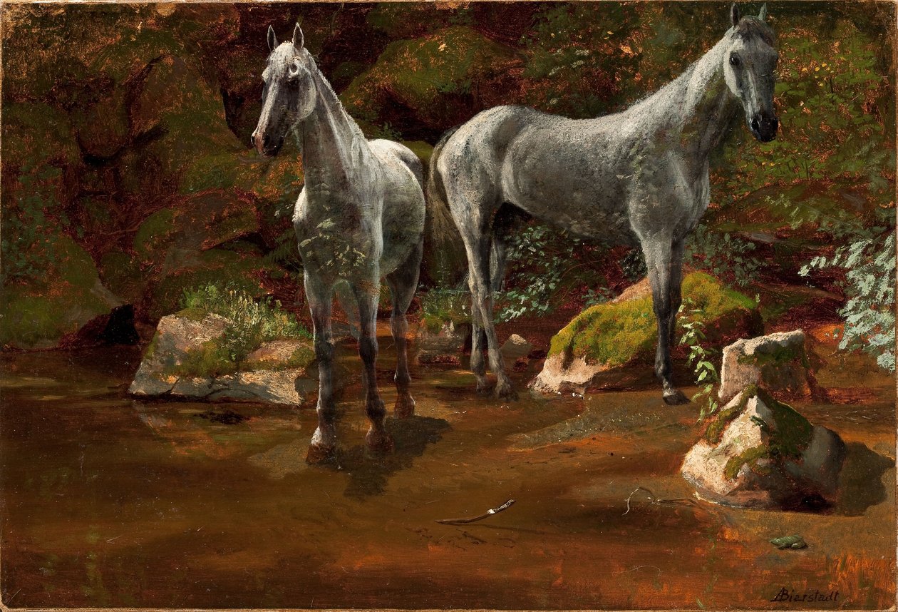 Estudo de Cavalos Selvagens de Albert Bierstadt