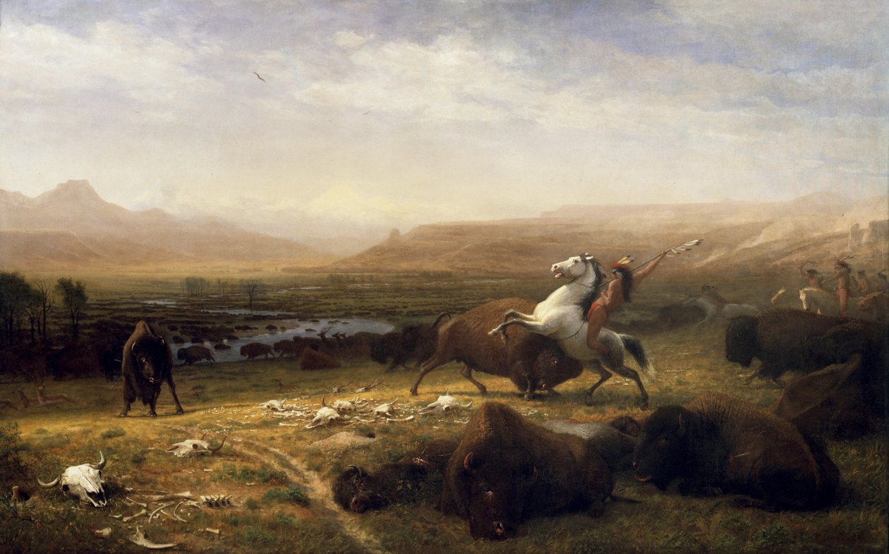 O último do búfalo de Albert Bierstadt