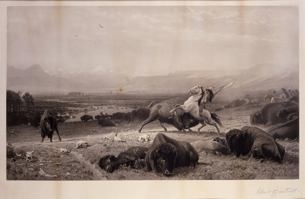 O último do búfalo de Albert Bierstadt