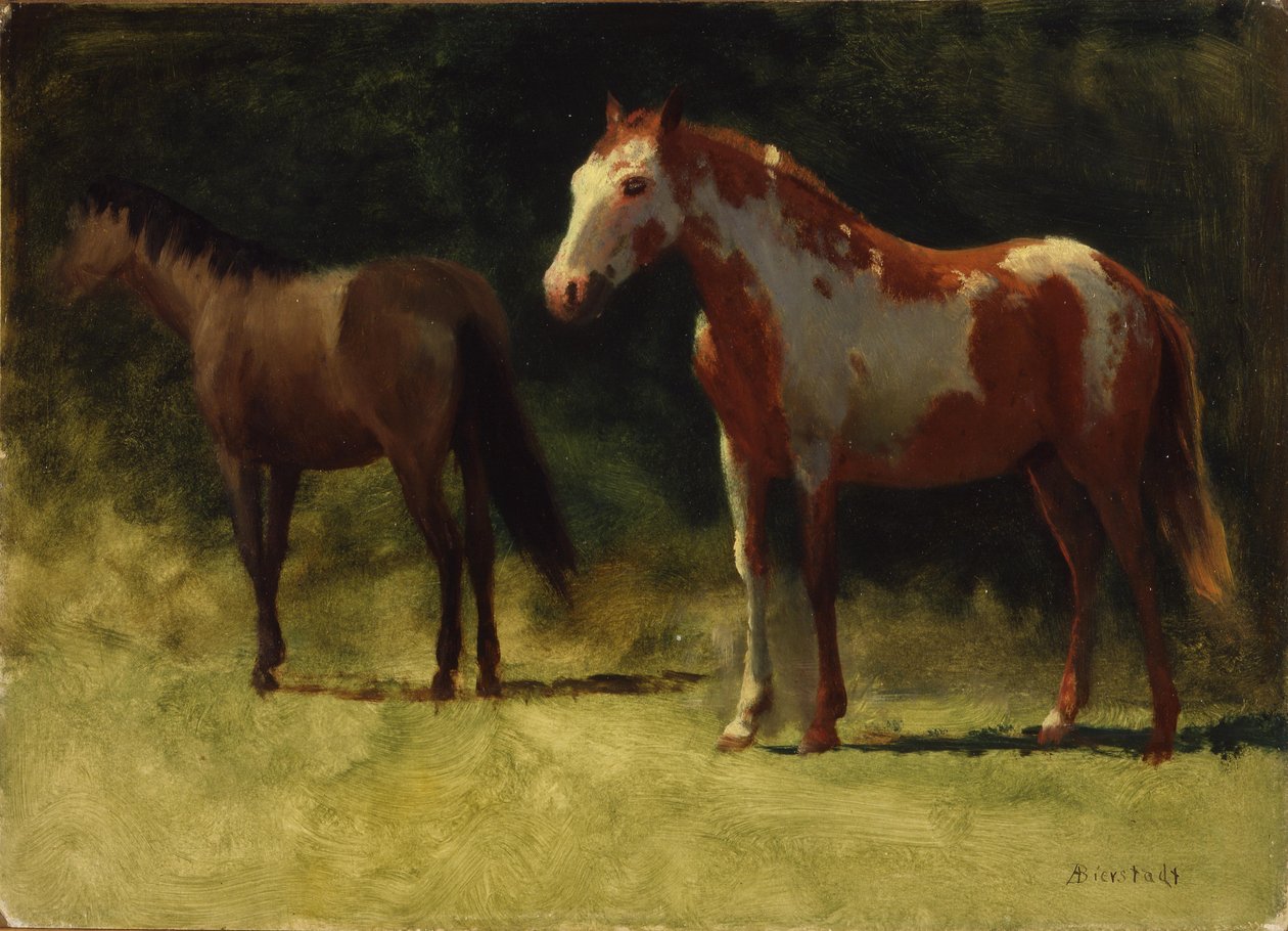 Dois cavalos de Albert Bierstadt