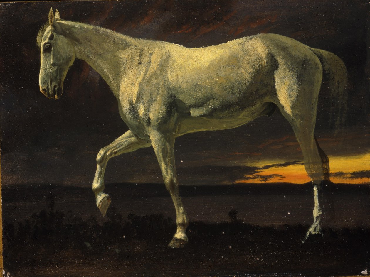 Cavalo branco e pôr do sol de Albert Bierstadt