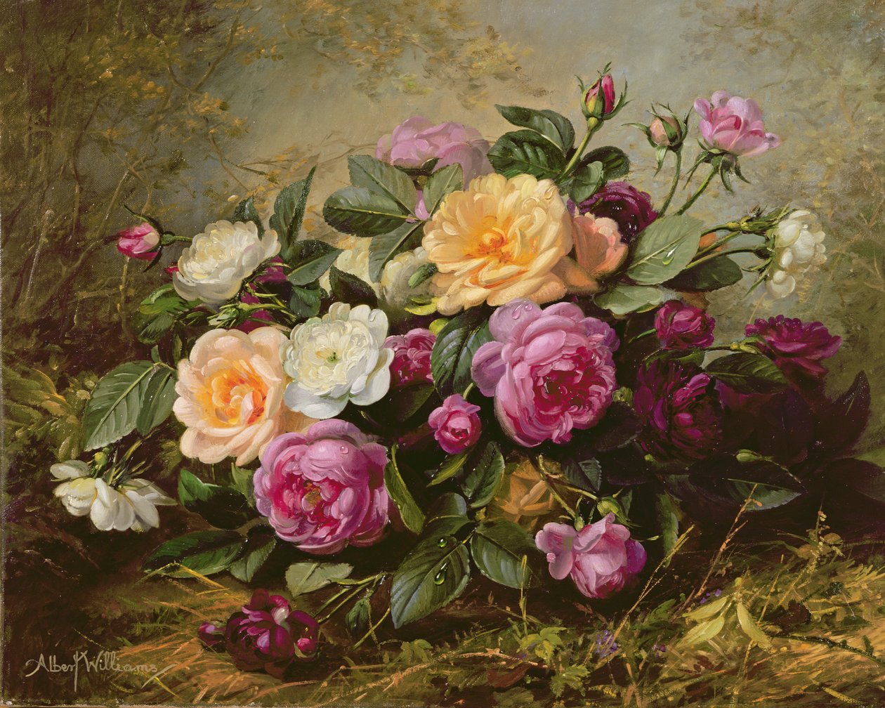 AB235 Rosas Completas de Albert Williams