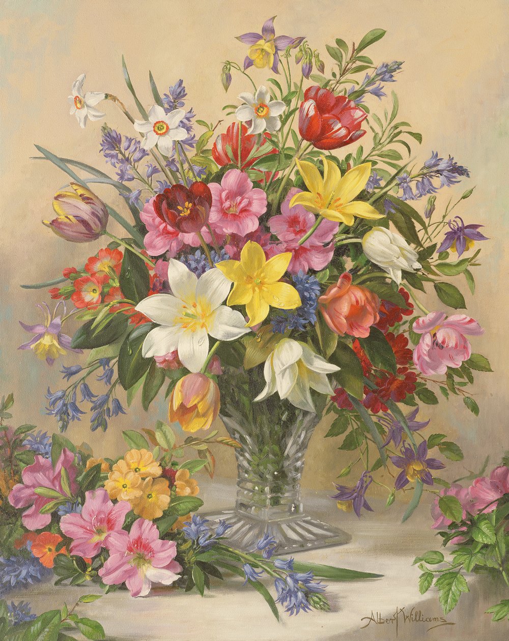 AB295 Glória Meados da Primavera de Albert Williams