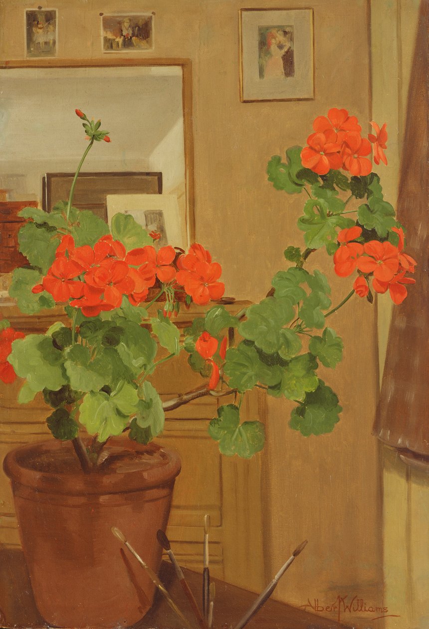 AB319 gerânios em um canto de estúdio, 1948-49 de Albert Williams