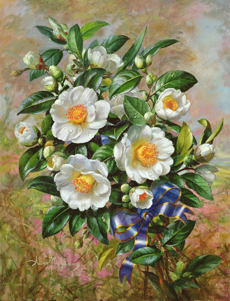 Coroação Camelia da série Jubileu de Ouro, 2002 de Albert Williams