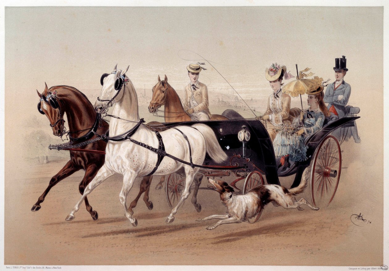 Um carro Victoria e os cavalos de Tarbes Impressão de Albert Adam (1833-?) Paris do século XIX, Musee Carnavalet de Albert Adam