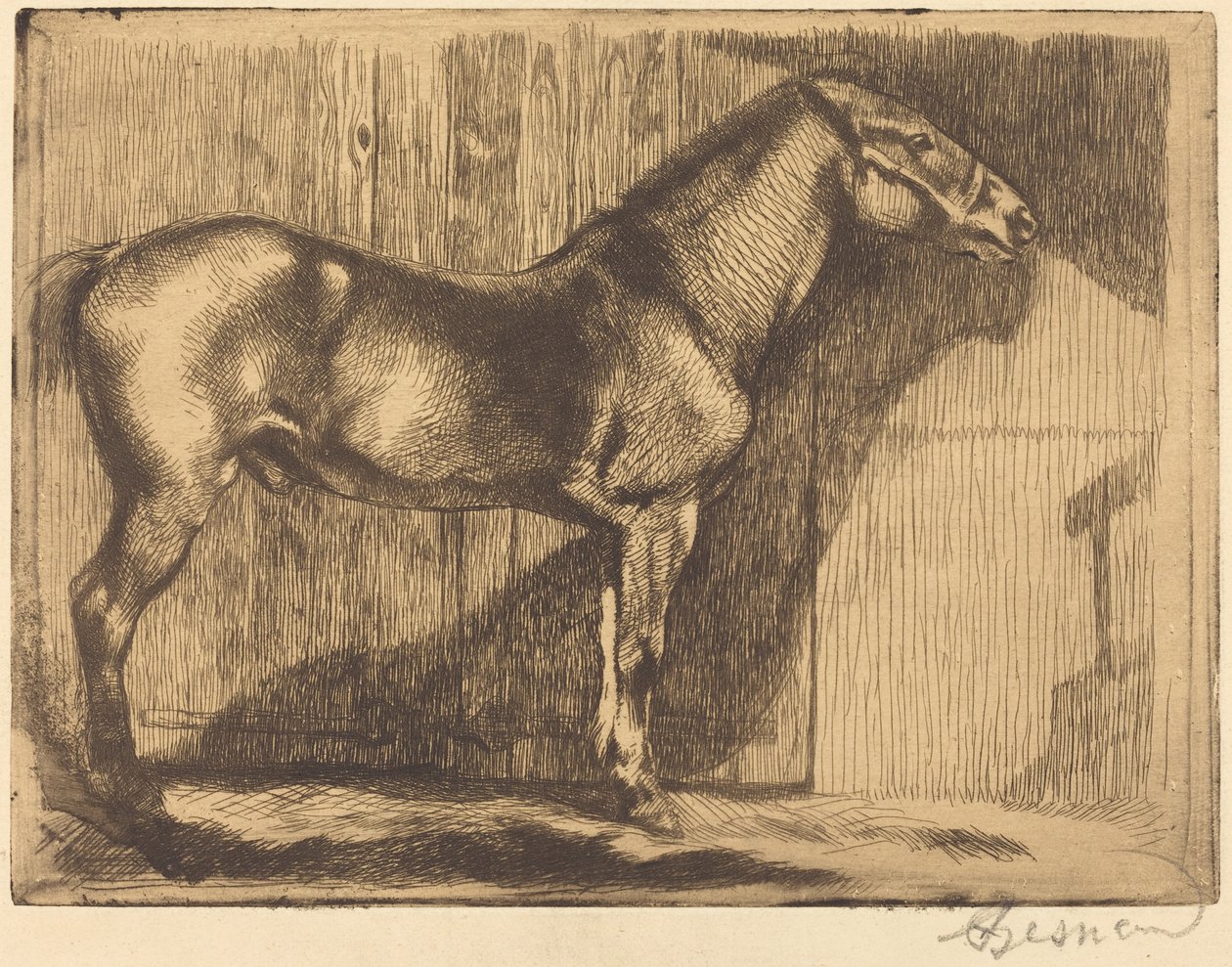 Pônei (Le poney) de Albert Besnard