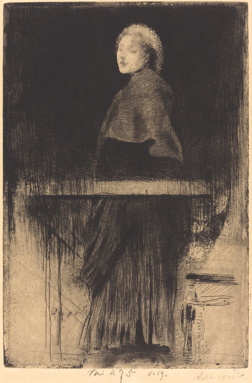 Woman with a Cape (La Femme à la Pelerine) de Albert Besnard