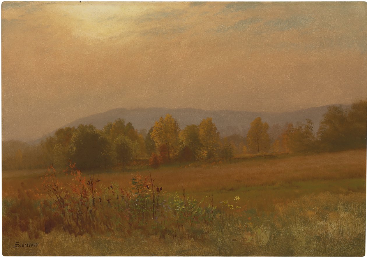 Paisagem de outono, Nova Inglaterra (óleo sobre papel colocado a bordo) de Albert Bierstadt