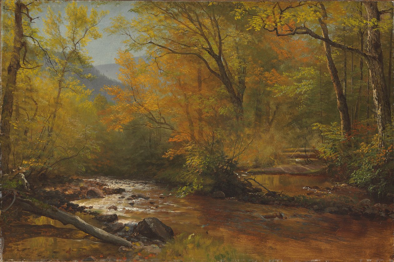 Brook em madeiras de Albert Bierstadt