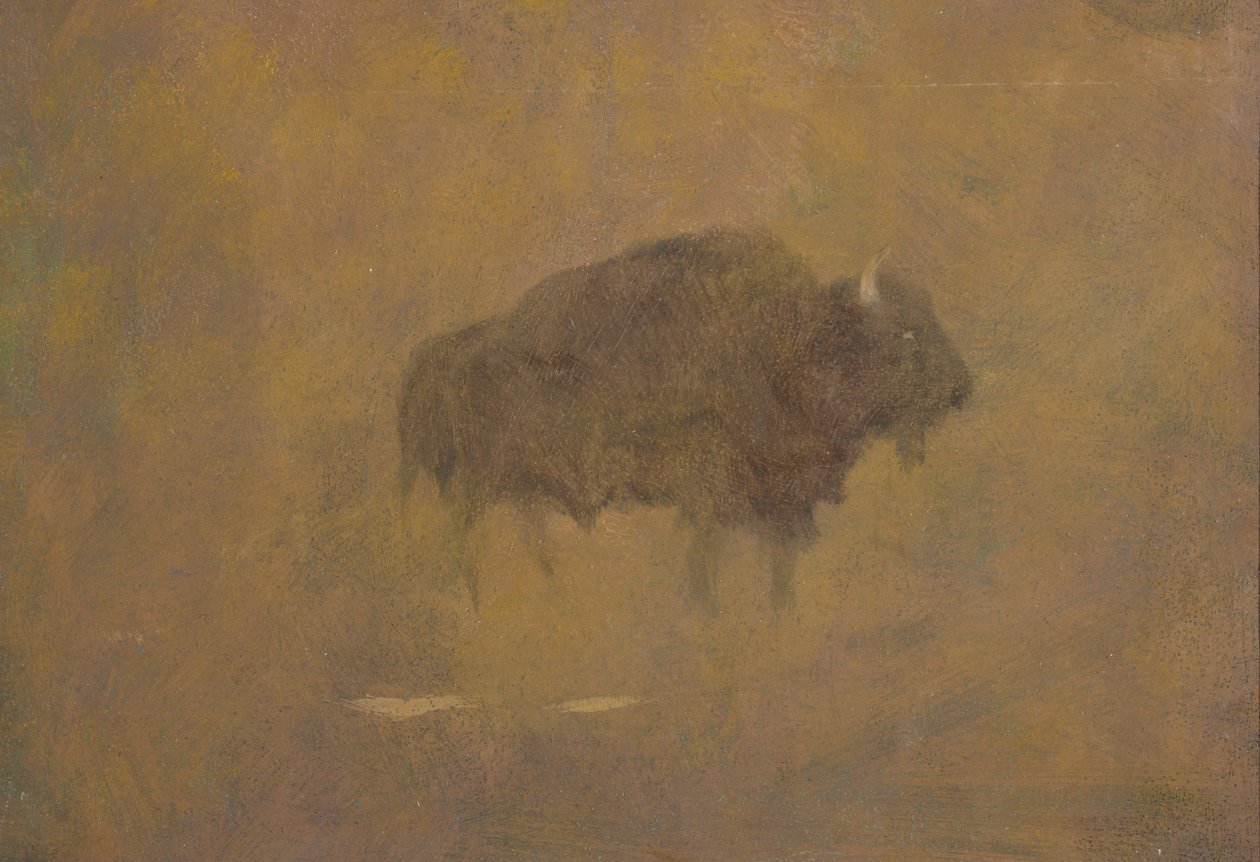 Búfalo em uma tempestade de areia (óleo sobre papel montado a bordo) de Albert Bierstadt