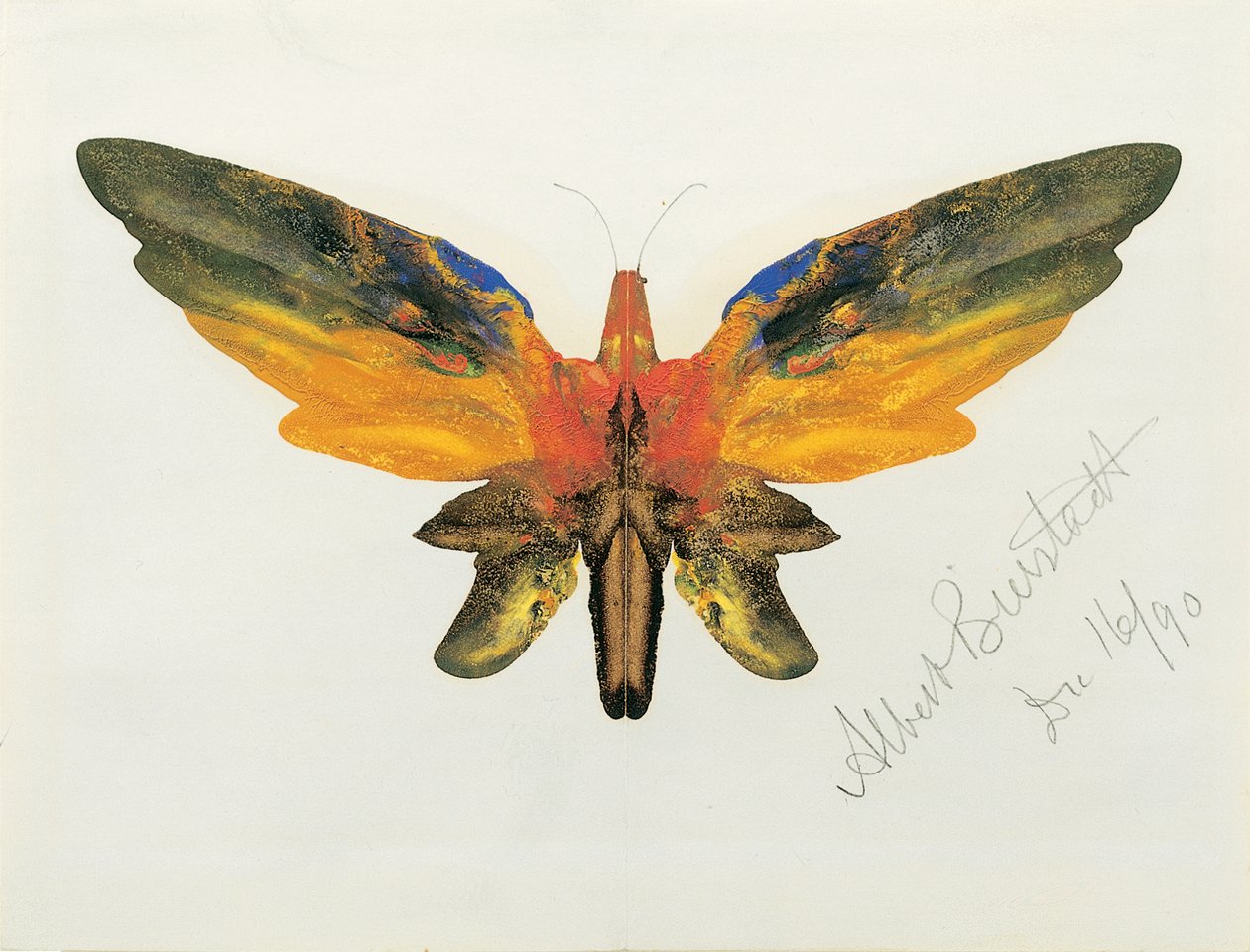 Borboleta, 1890 de Albert Bierstadt