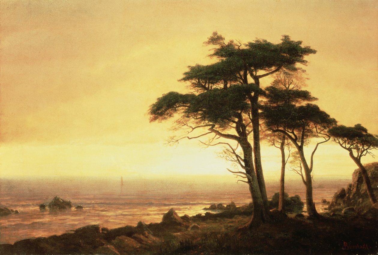 Costa da Califórnia (óleo sobre tela) de Albert Bierstadt