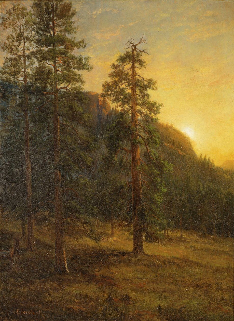 Redwoods da Califórnia de Albert Bierstadt
