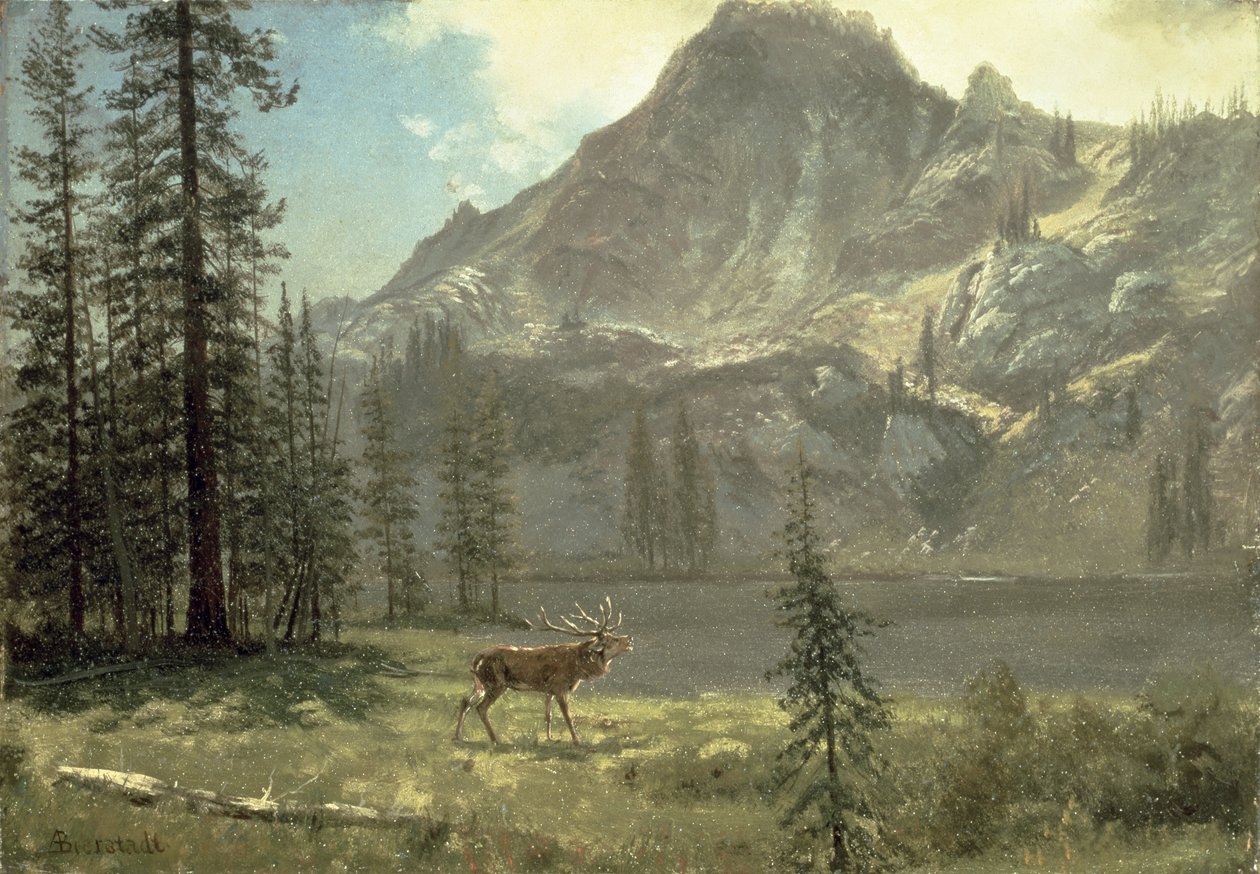 Chamado da natureza de Albert Bierstadt