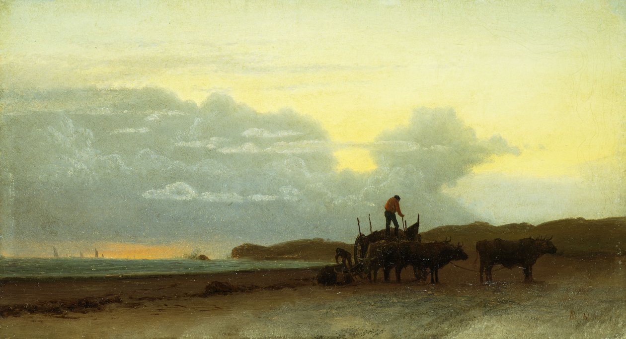 Vista costeira, Newport, 1861 de Albert Bierstadt