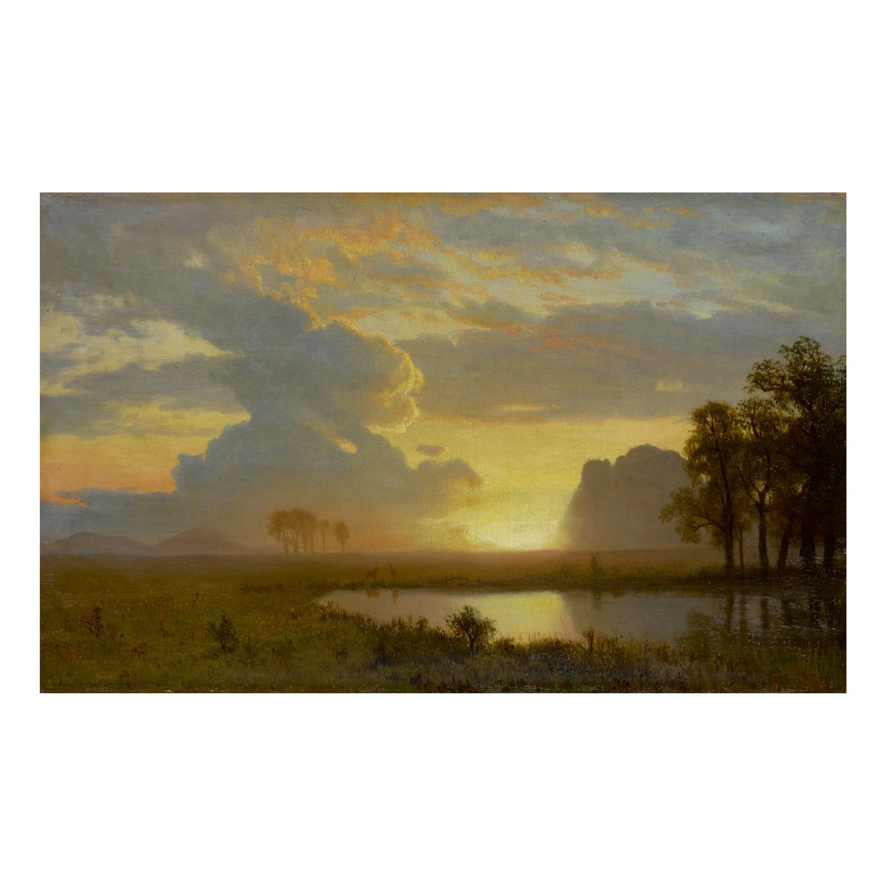 ESTES PARK, COLORADO de Albert Bierstadt