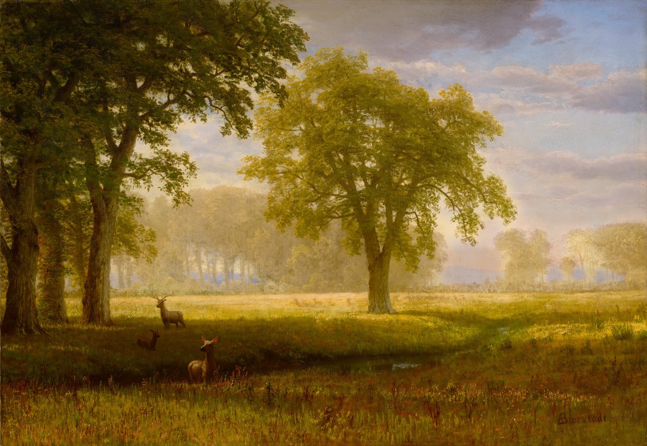 Alce em Oak Grove (Tuolumne Meadows) de Albert Bierstadt