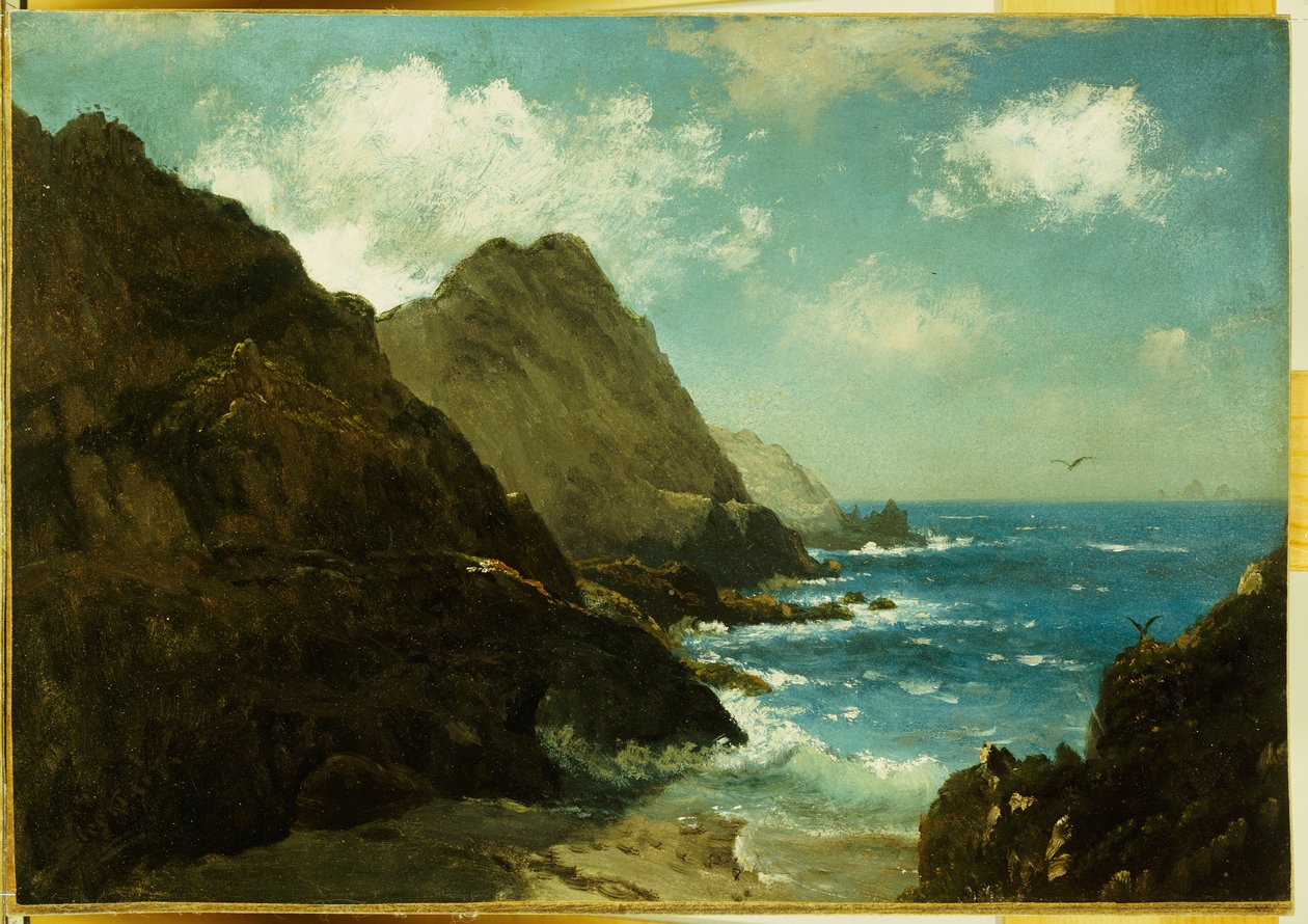Ilhas Farallon de Albert Bierstadt