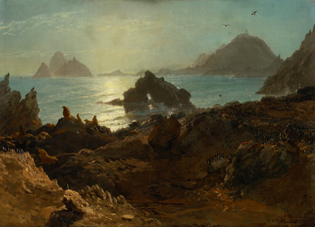Ilhas Farallon, Oceano Pacífico, Califórnia de Albert Bierstadt
