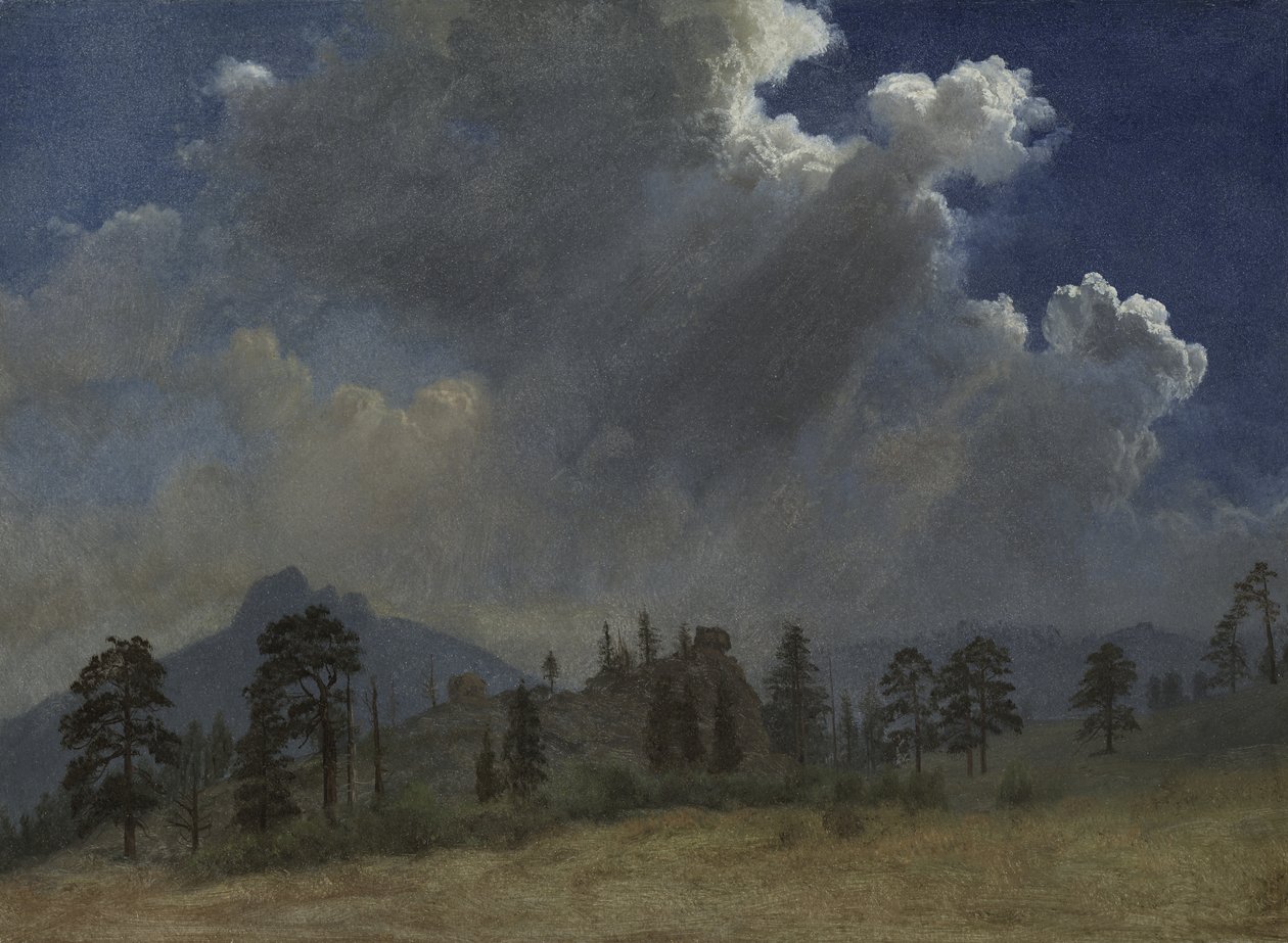 Abetos e nuvens de tempestade de Albert Bierstadt